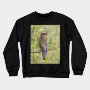 Cedar Waxwing in a tree Crewneck Sweatshirt