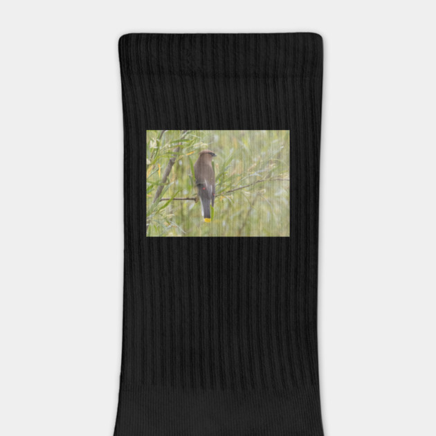 Cedar Waxwing in a tree by BirdsnStuff