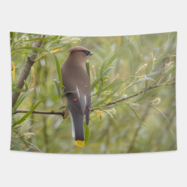 Cedar Waxwing in a tree Tapestry by BirdsnStuff