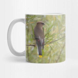 Cedar Waxwing in a tree Mug
