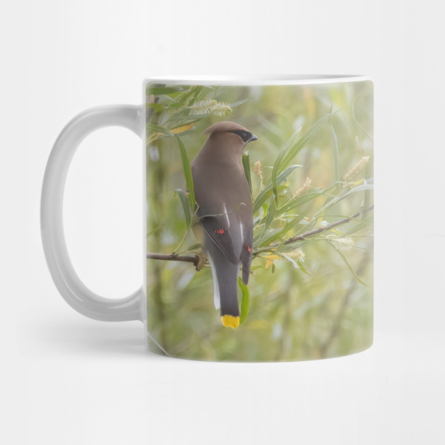Cedar Waxwing in a tree by BirdsnStuff