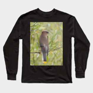 Cedar Waxwing in a tree Long Sleeve T-Shirt