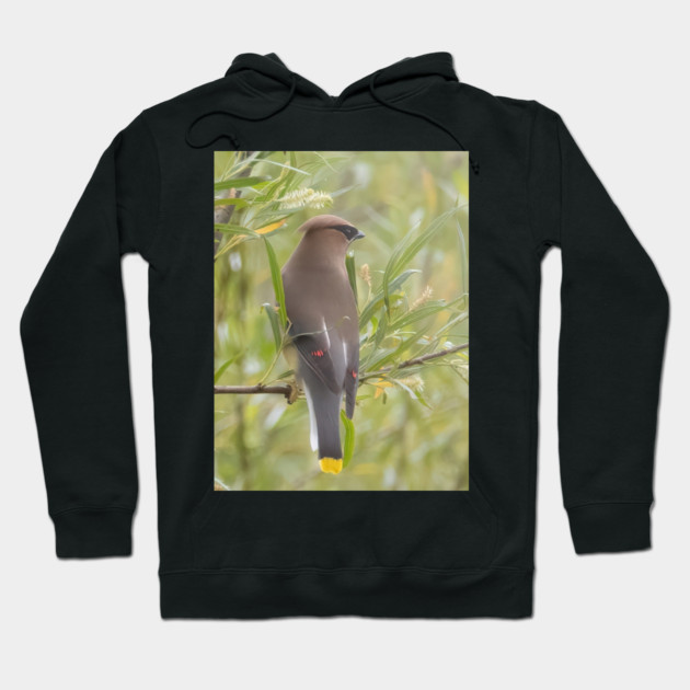 Cedar Waxwing in a tree Hoodie by BirdsnStuff