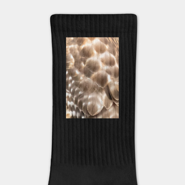 Feathers of a Red Shouldered Hawk by BirdsnStuff