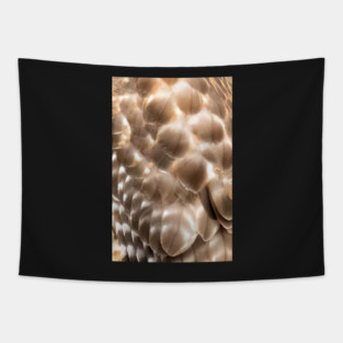 Feathers of a Red Shouldered Hawk Tapestry