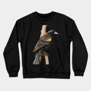 Red Winged Blackbird without background in image-choose red to display on store front Crewneck Sweatshirt