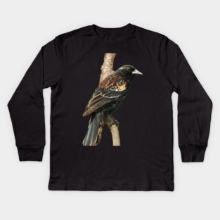 Red Winged Blackbird without background in image-choose red to display on store front Kids Long Sleeve T-Shirt