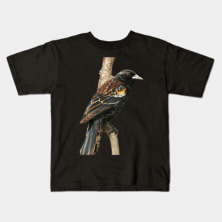 Red Winged Blackbird without background in image-choose red to display on store front Kids T-Shirt