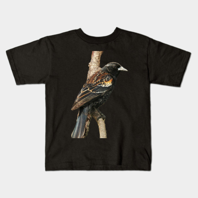 Red Winged Blackbird without background in image-choose red to display on store front Kids T-Shirt by BirdsnStuff