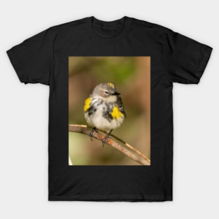Yellow Rumped Warbler T-Shirt