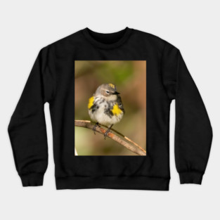 Yellow Rumped Warbler Crewneck Sweatshirt