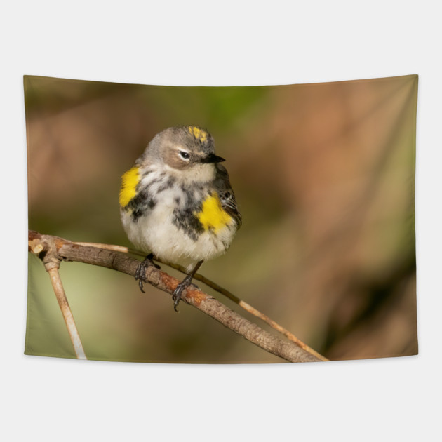 Yellow Rumped Warbler Tapestry by BirdsnStuff