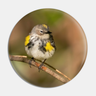 Yellow Rumped Warbler Pin