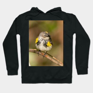 Yellow Rumped Warbler Hoodie