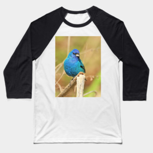 Indigo Bunting 2022 Baseball T-Shirt