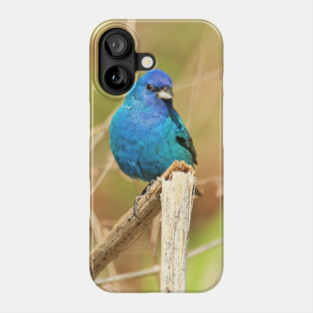 Indigo Bunting 2022 Phone Case