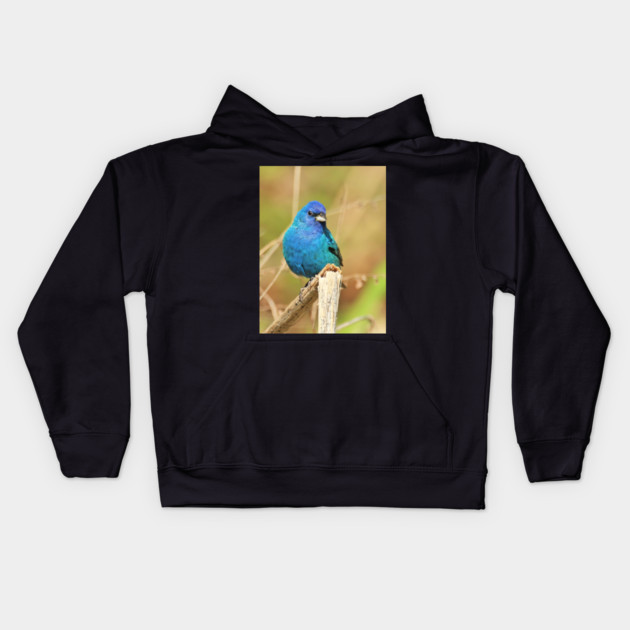 Indigo Bunting 2022 Kids Hoodie by BirdsnStuff