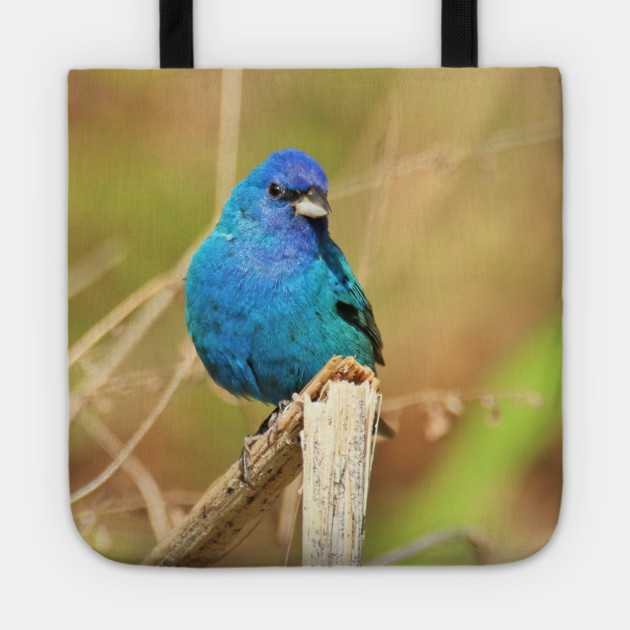 Indigo Bunting 2022 Tote by BirdsnStuff