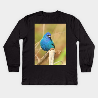 Indigo Bunting 2022 Kids Long Sleeve T-Shirt