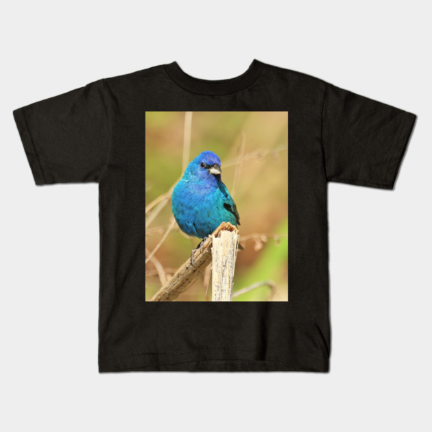 Indigo Bunting 2022 Kids T-Shirt by BirdsnStuff