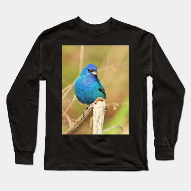 Indigo Bunting 2022 Long Sleeve T-Shirt by BirdsnStuff