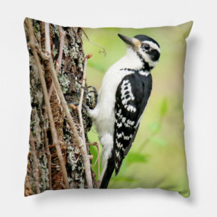 Portrait of a Hairy Woodpecker 2-Female Pillow