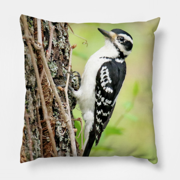 Portrait of a Hairy Woodpecker 2-Female Pillow by BirdsnStuff