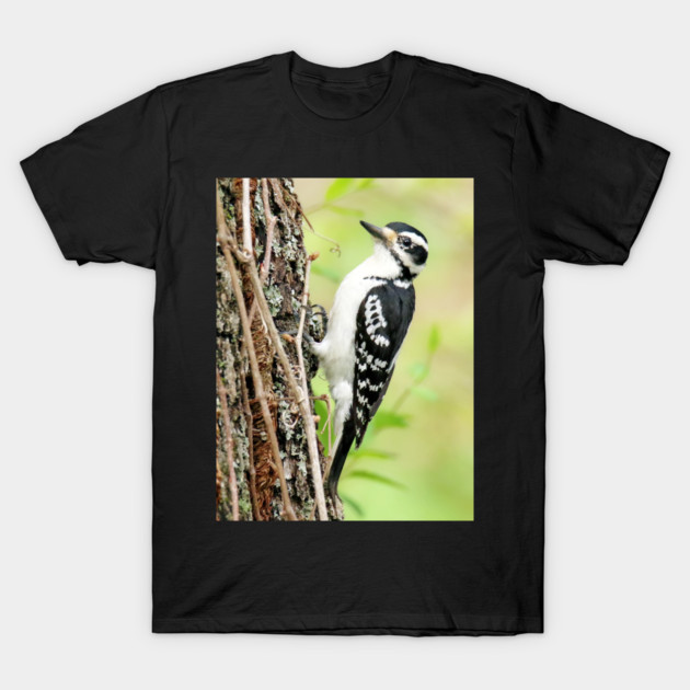 Portrait of a Hairy Woodpecker 2-Female T-Shirt by BirdsnStuff