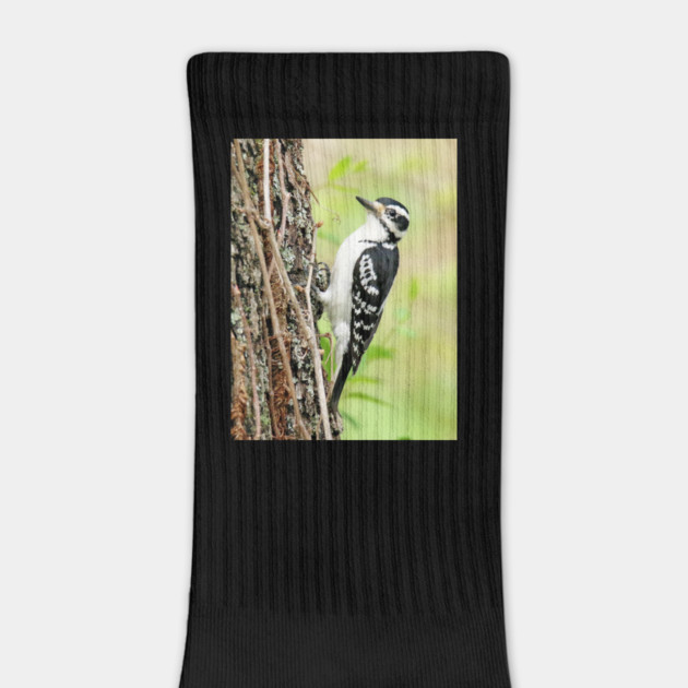 Portrait of a Hairy Woodpecker 2-Female by BirdsnStuff