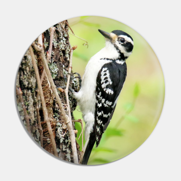 Portrait of a Hairy Woodpecker 2-Female Pin by BirdsnStuff