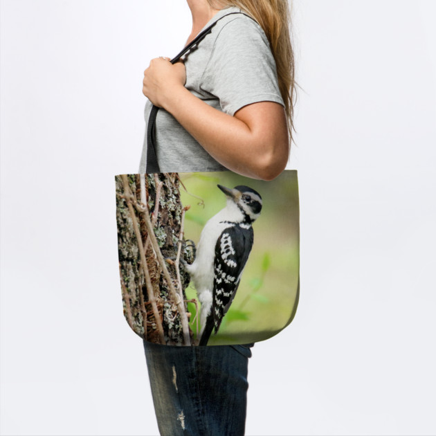 Portrait of a Hairy Woodpecker 2-Female by BirdsnStuff