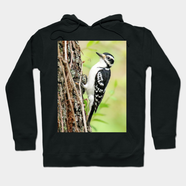 Portrait of a Hairy Woodpecker 2-Female Hoodie by BirdsnStuff