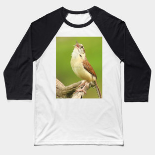 Carolina Wren Singing Baseball T-Shirt