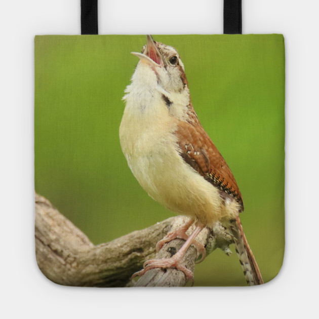 Carolina Wren Singing Tote by BirdsnStuff