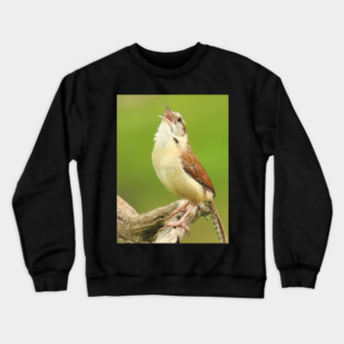 Carolina Wren Singing Crewneck Sweatshirt