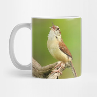 Carolina Wren Singing Mug