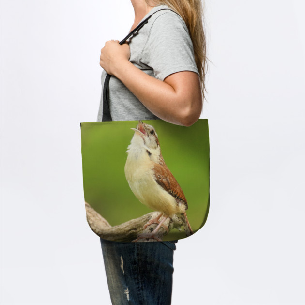 Carolina Wren Singing by BirdsnStuff