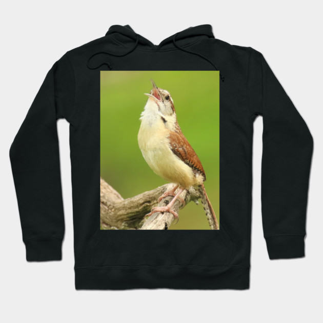 Carolina Wren Singing Hoodie by BirdsnStuff