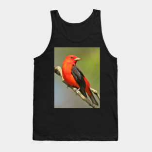 Scarlet Tanager Tank Top