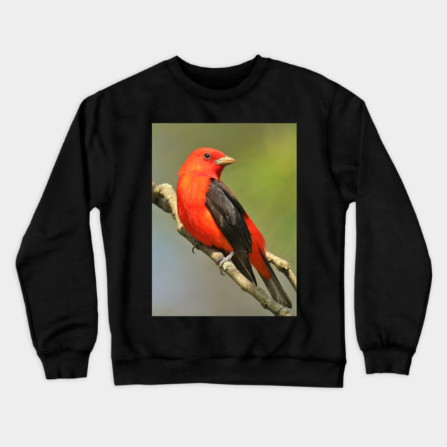Scarlet Tanager Crewneck Sweatshirt by BirdsnStuff