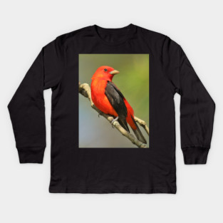 Scarlet Tanager Kids Long Sleeve T-Shirt