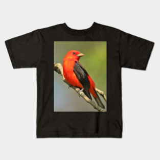 Scarlet Tanager Kids T-Shirt
