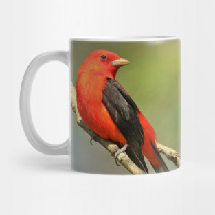 Scarlet Tanager Mug