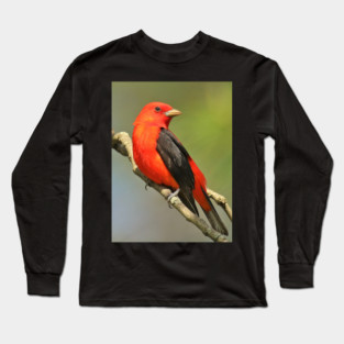 Scarlet Tanager Long Sleeve T-Shirt