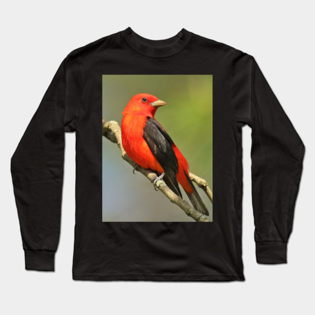 Scarlet Tanager Long Sleeve T-Shirt by BirdsnStuff