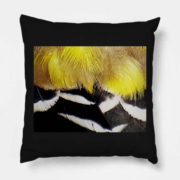 Feathers of a American Goldfinch Pillow by BirdsnStuff