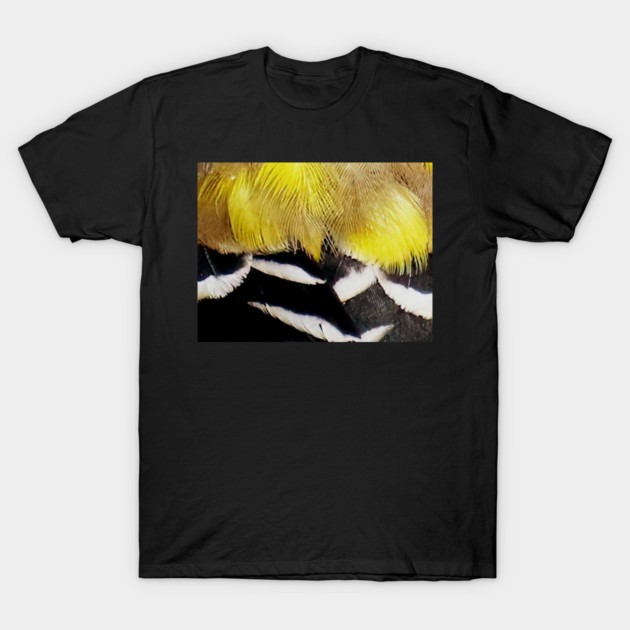 Feathers of a American Goldfinch T-Shirt by BirdsnStuff