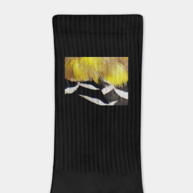 Feathers of a American Goldfinch by BirdsnStuff