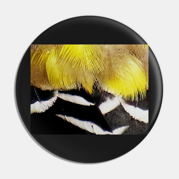 Feathers of a American Goldfinch Pin by BirdsnStuff