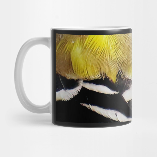 Feathers of a American Goldfinch by BirdsnStuff